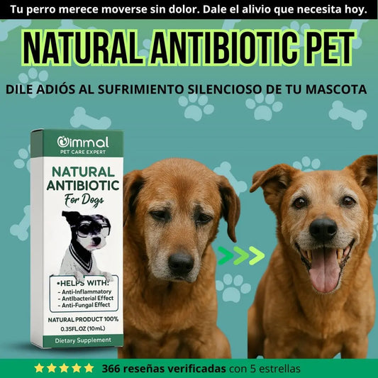 Natural Antibiotic Pet